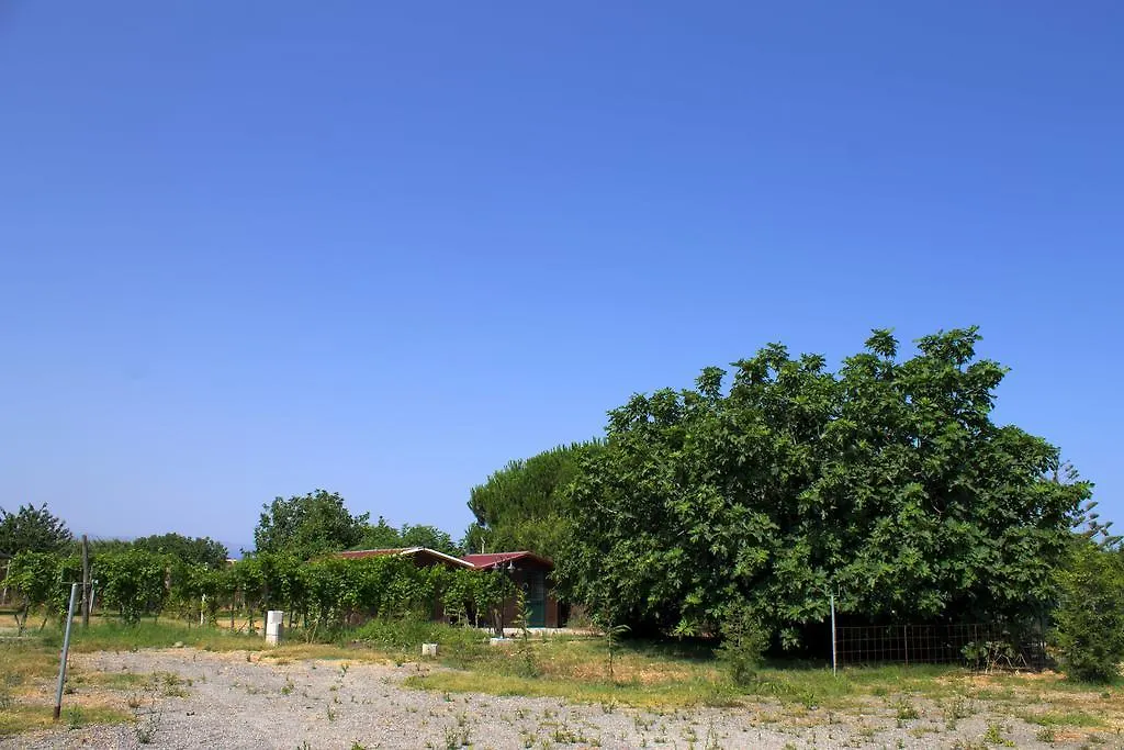 Farm stay Agriturismo Il Gelsomino Ritrovato Milazzo