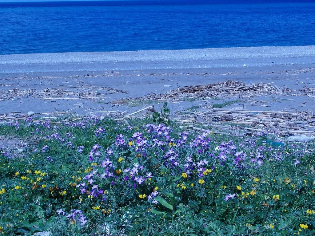 Farm stay Agriturismo Il Gelsomino Ritrovato Milazzo Italy